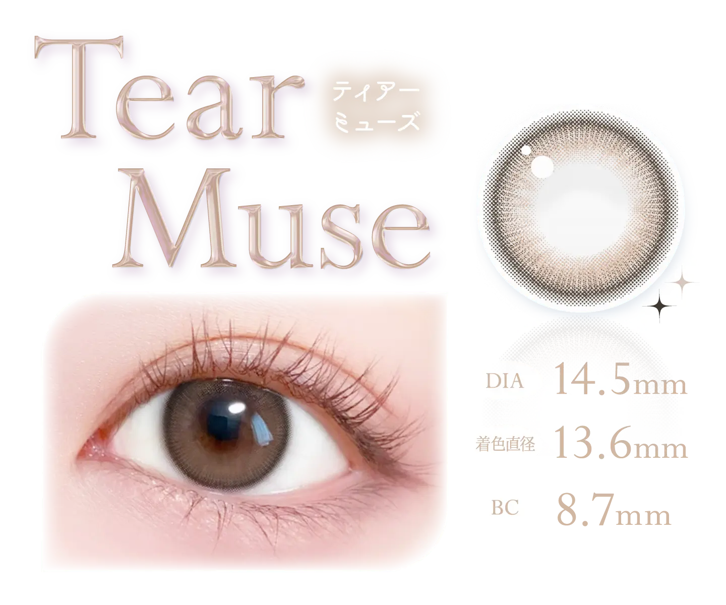 Tear Muse ティアーミューズ DIA14.5mm 着色直径13.6mm BC8.7mm